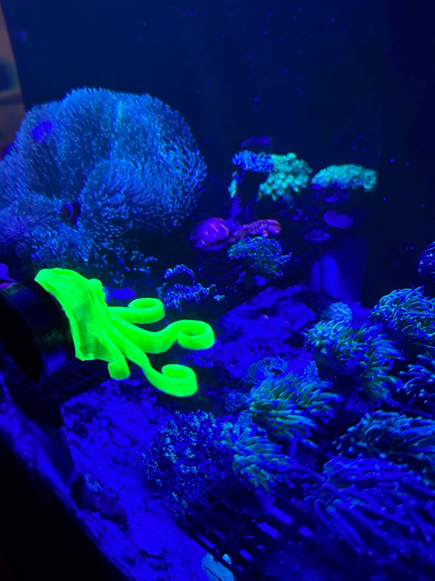 Magnetic Octopus Frag Rack