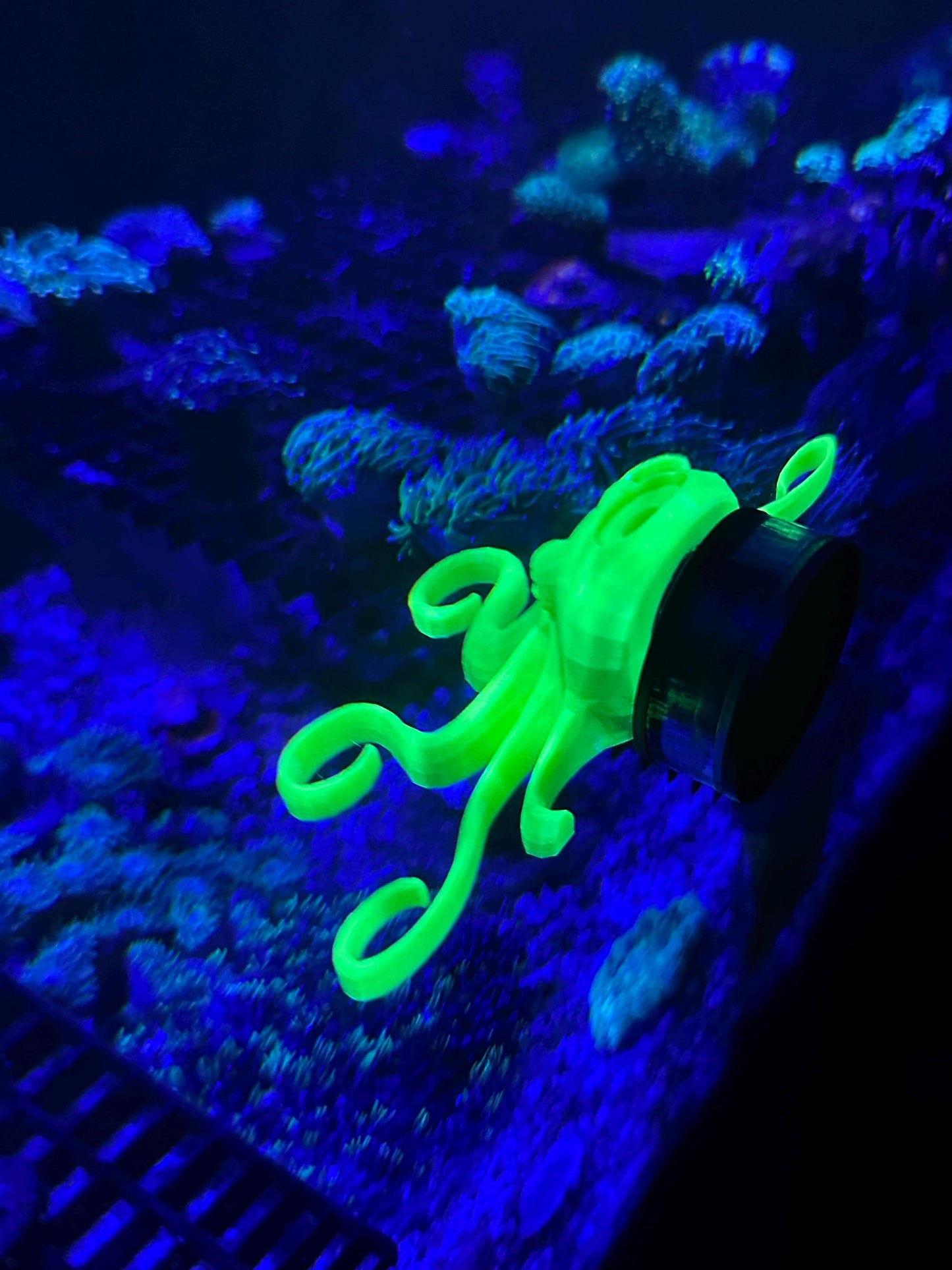 Magnetic Octopus Frag Rack