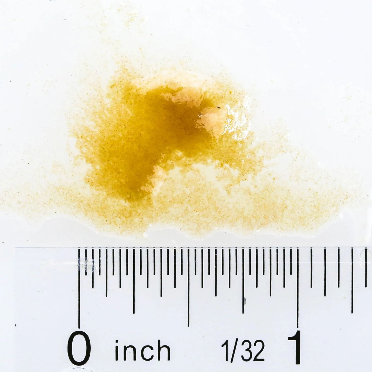 Hikari Bio-Pure Frozen Rotifers 1.75 oz blister pack