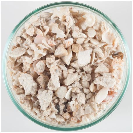 Florida Crushed Coral 40lb