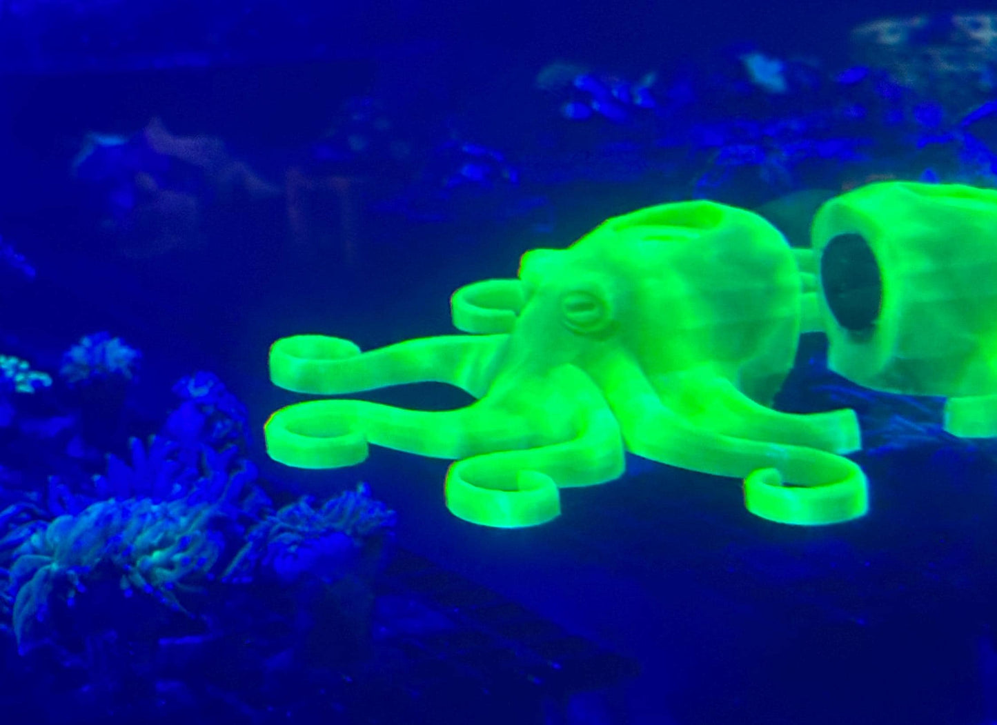 Magnetic Octopus Frag Rack