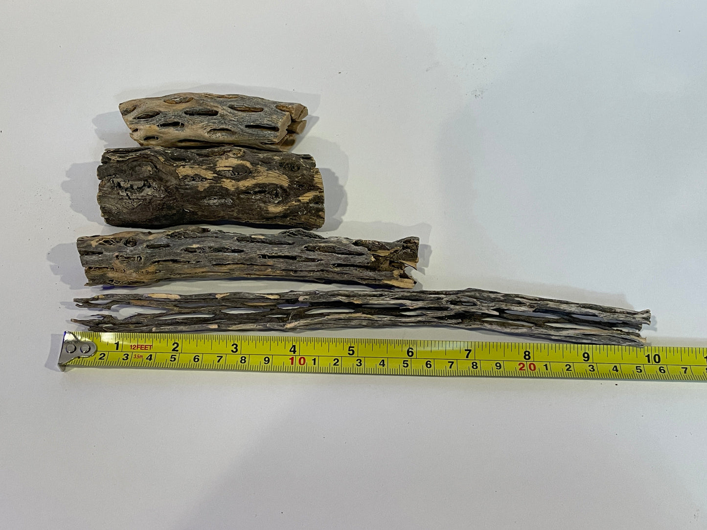 Cholla Wood Logs