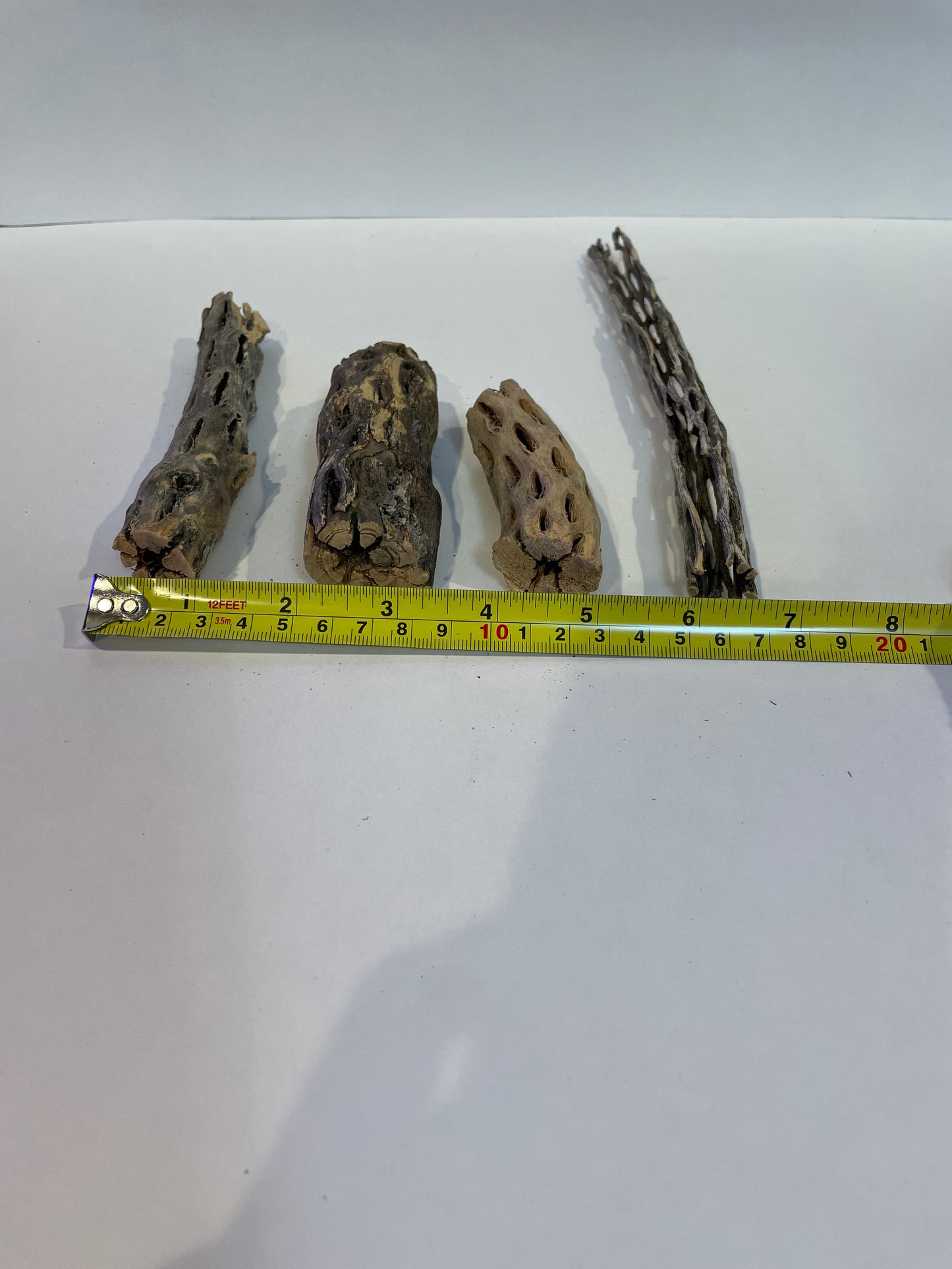 Cholla Wood Logs