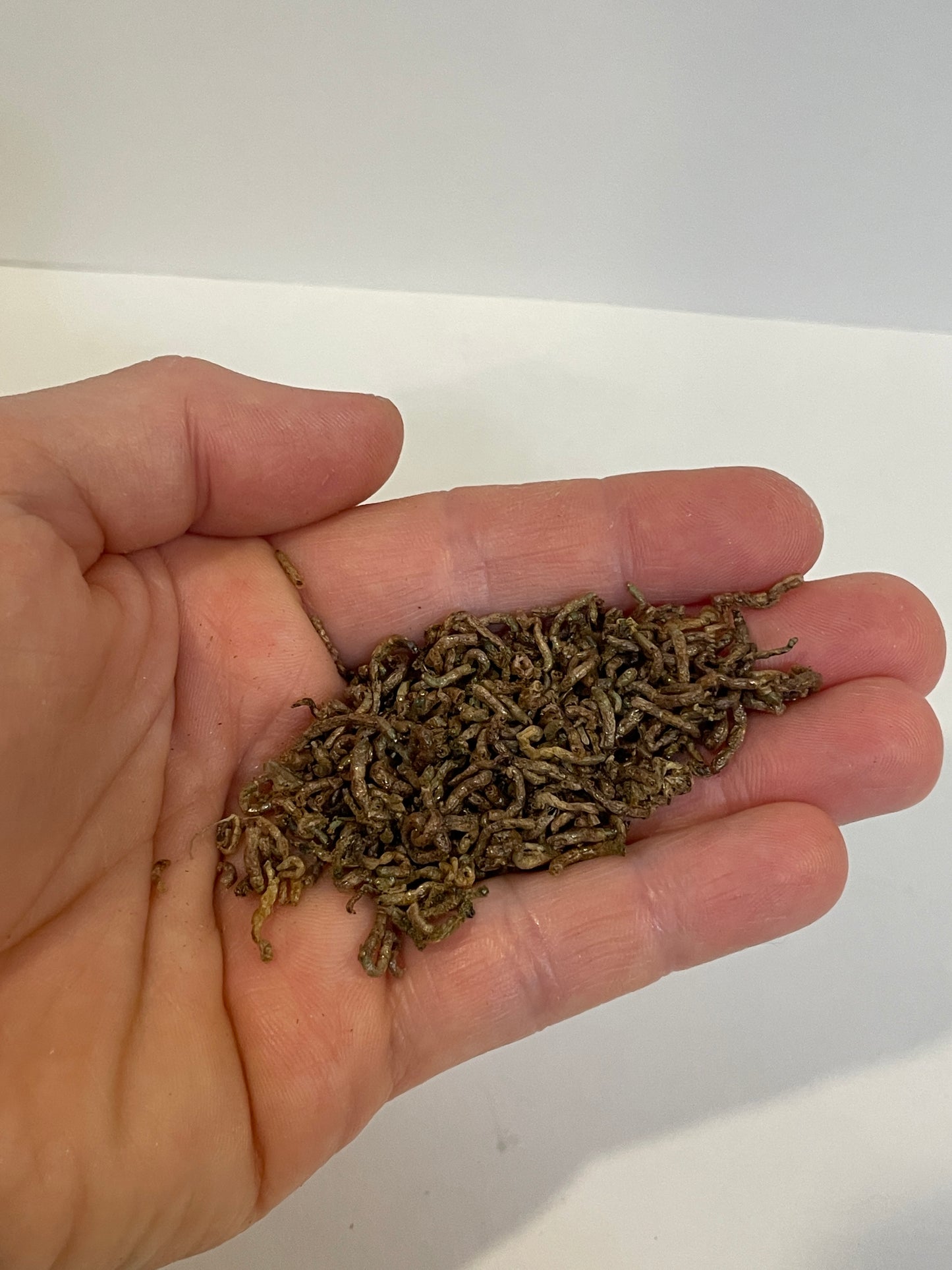 Aquarium Co-Op Freeze Dried Bloodworms