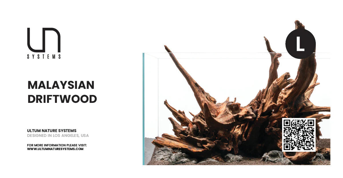 UNS Malaysian Wood - L - 1 Piece