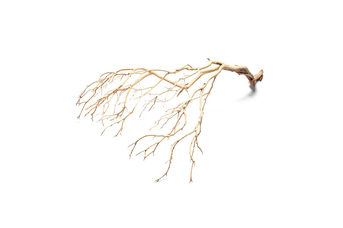 Manzanita Driftwood - Medium (16-20") Sandblasted