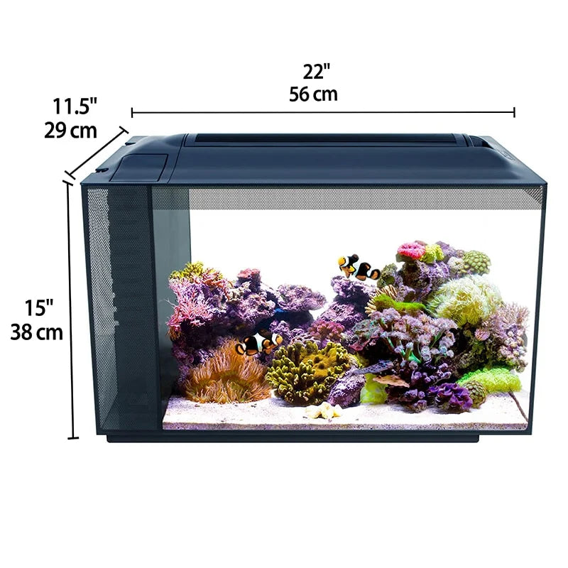 Fluval Evo 13 gallon Aquarium Kit - Black