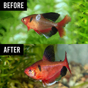 Fritz Freshwater Salt 1lb