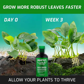 Easy Green All in One Fertilizer