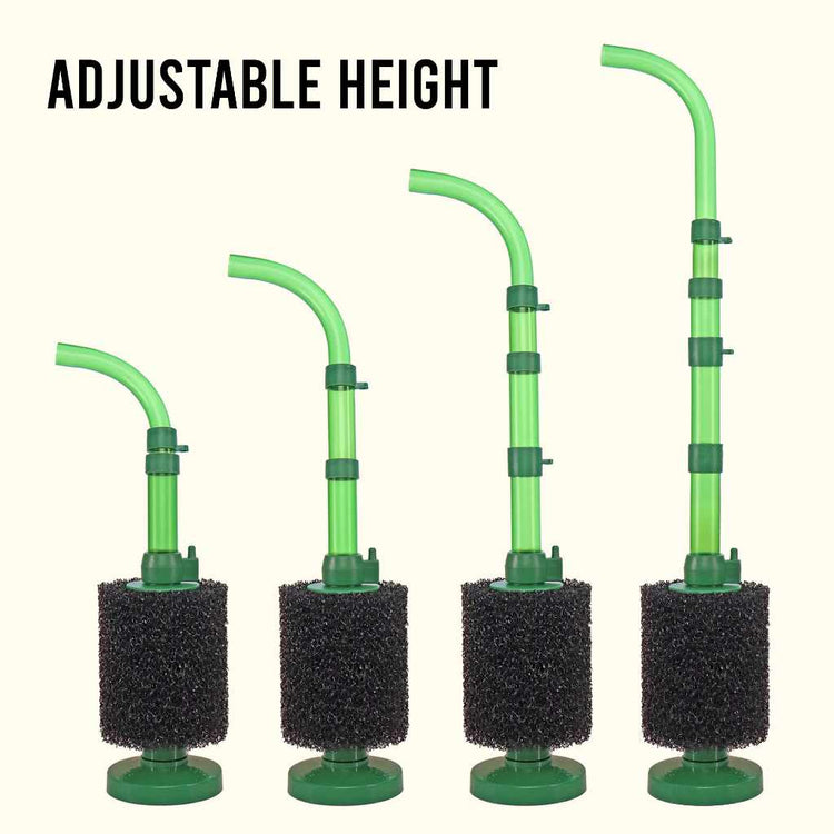 Sponge Filters