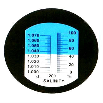 Salinity Testing