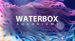 Waterbox Aquariums