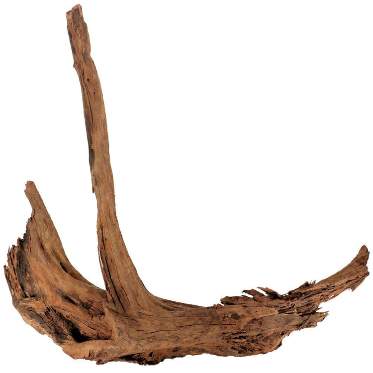 Driftwoods