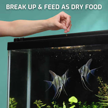 Aquarium Co-Op Freeze Dried Brine Shrimp Cubes