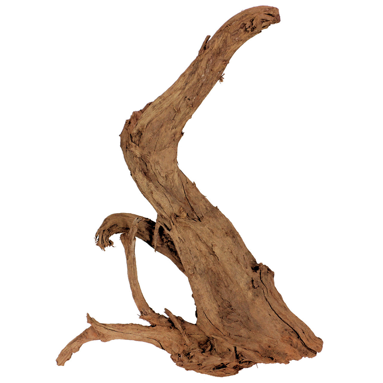 Malaysian Driftwood - XXL