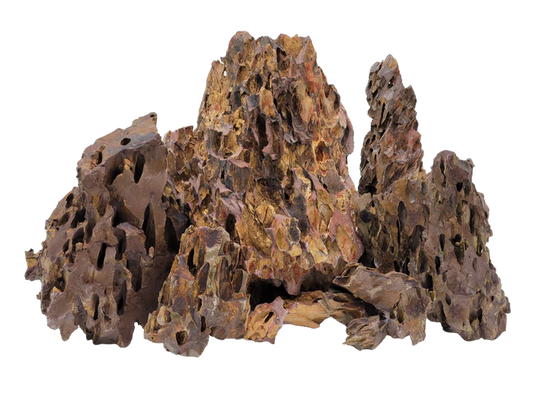 Dragon Ohko Rock