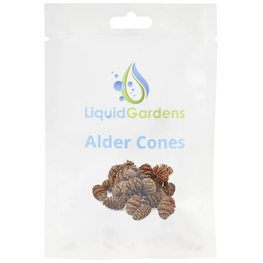 Liquid Gardens Alder Cones 25ct