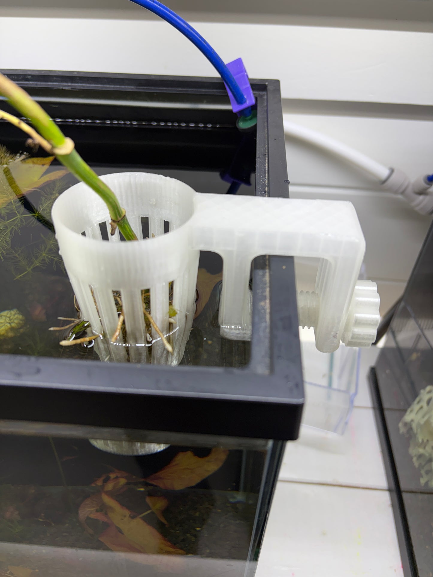 Aquarium Plant Holder