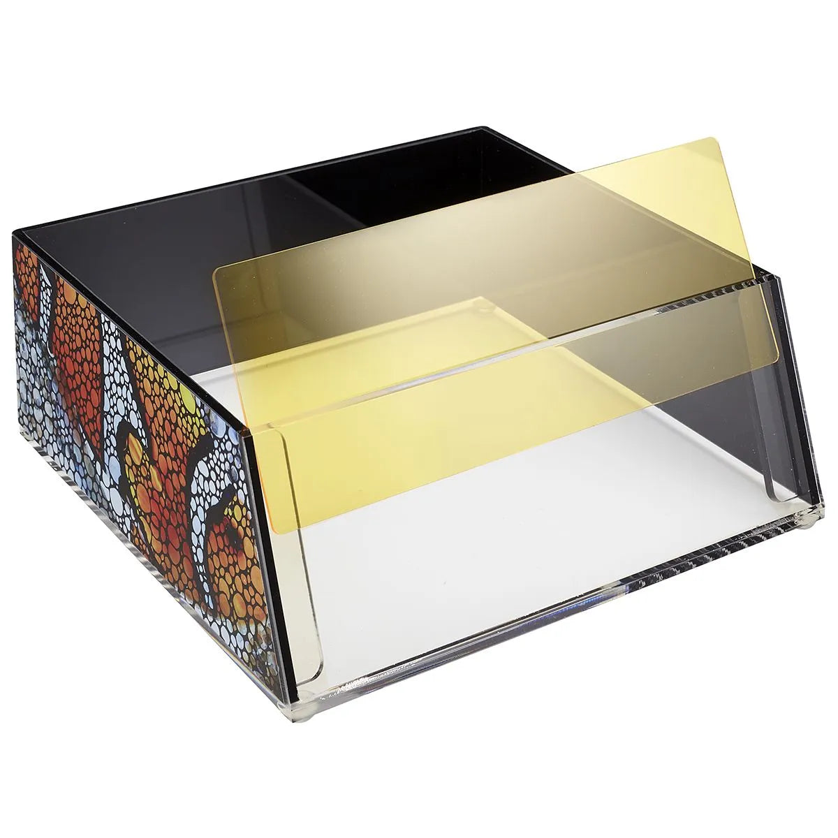 Flipper Top Down Viewer - Clownfish