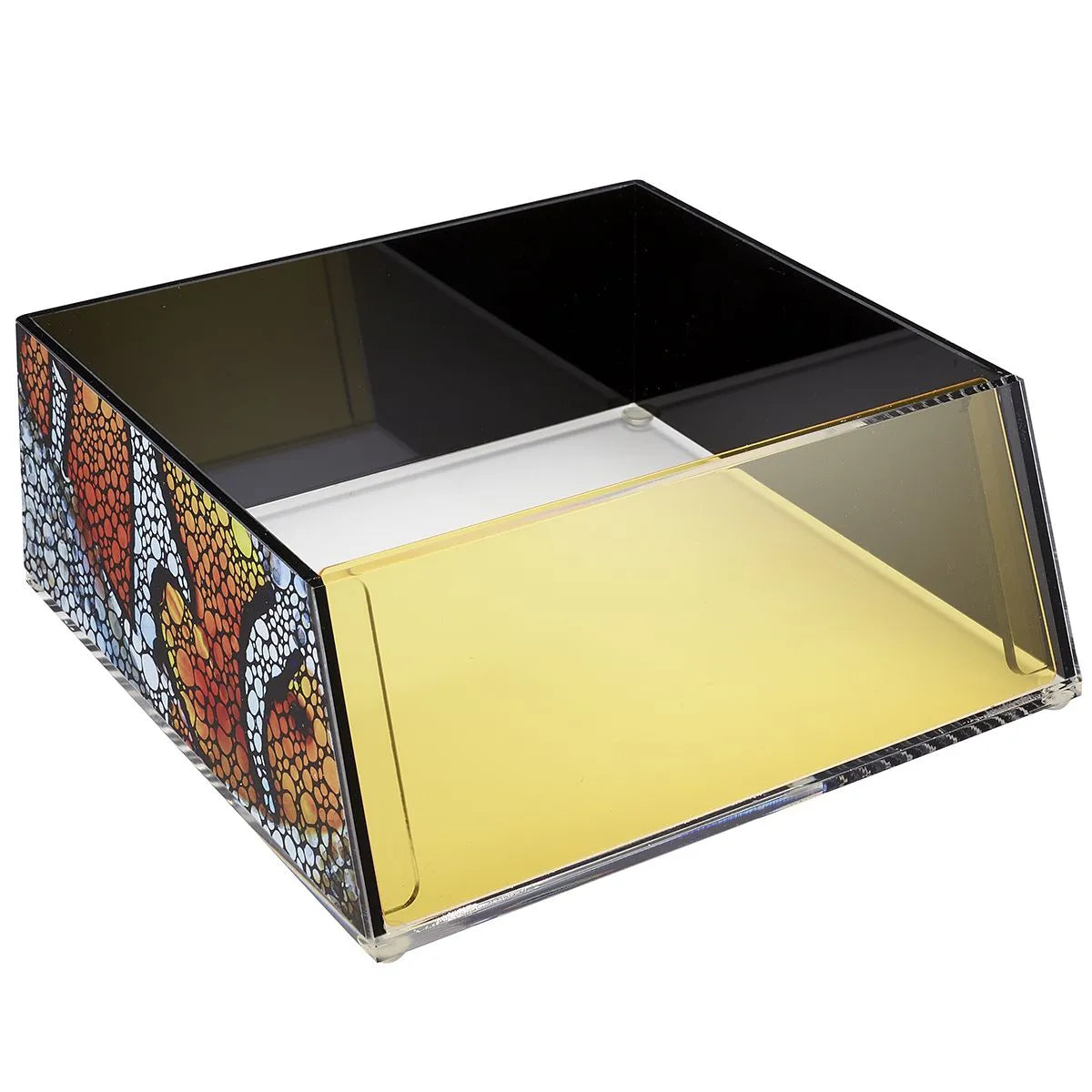 Flipper Top Down Viewer - Clownfish