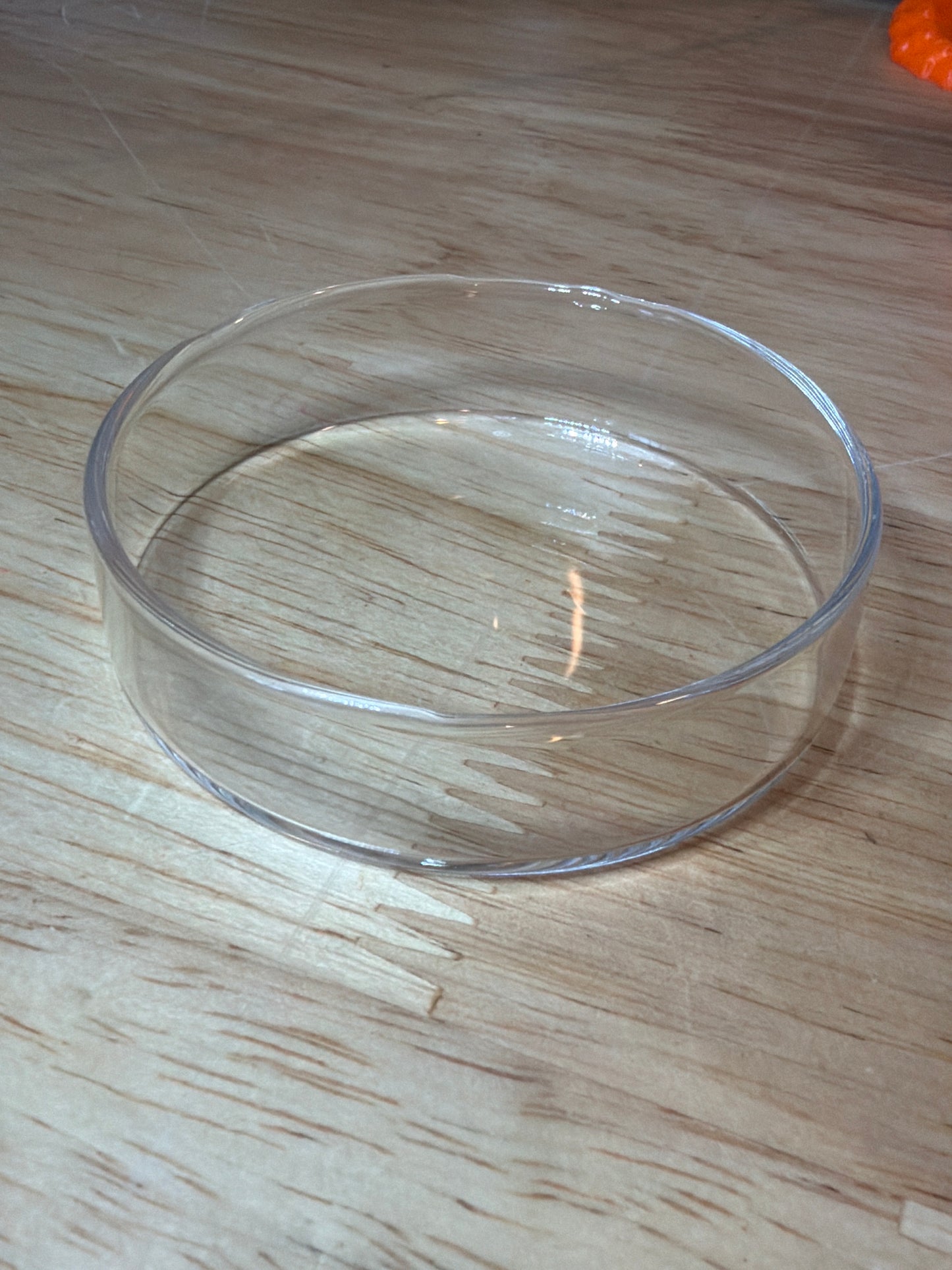 Glass Feeding Dish