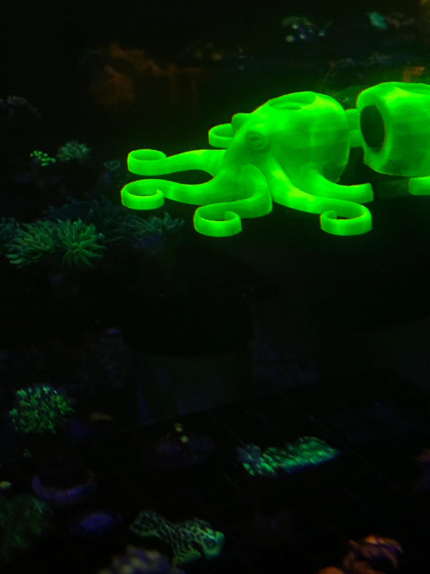 Magnetic Octopus Frag Rack