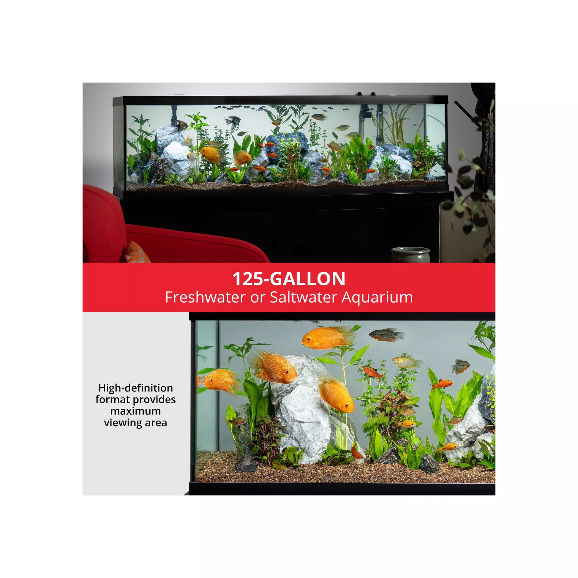 125 Gallon Aquarium with Glass Lids 125 Gallon Aquarium with Glass Lids