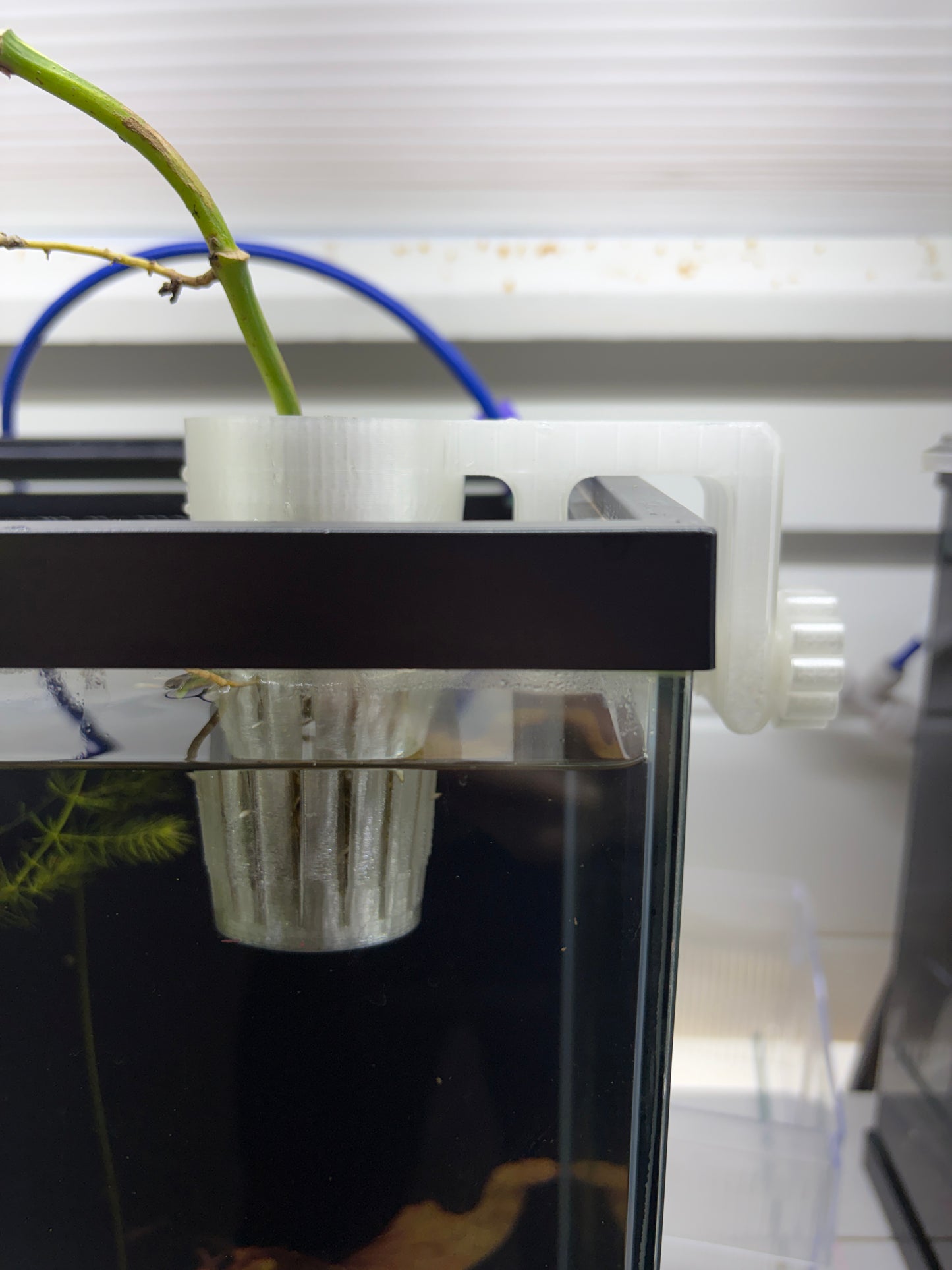Aquarium Plant Holder