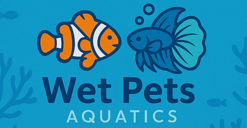 Small 3D Prints – Wet Pets Aquatics