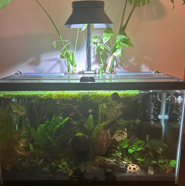 Tapered and Angled AI Prime 16HD Light Shade For Aquariums