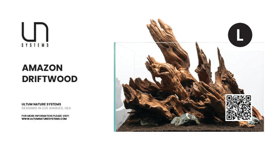UNS Amazon Wood - L - 1 Piece
