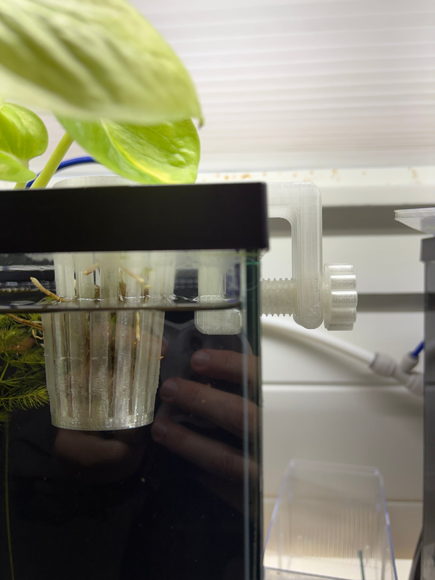 Aquarium Plant Holder