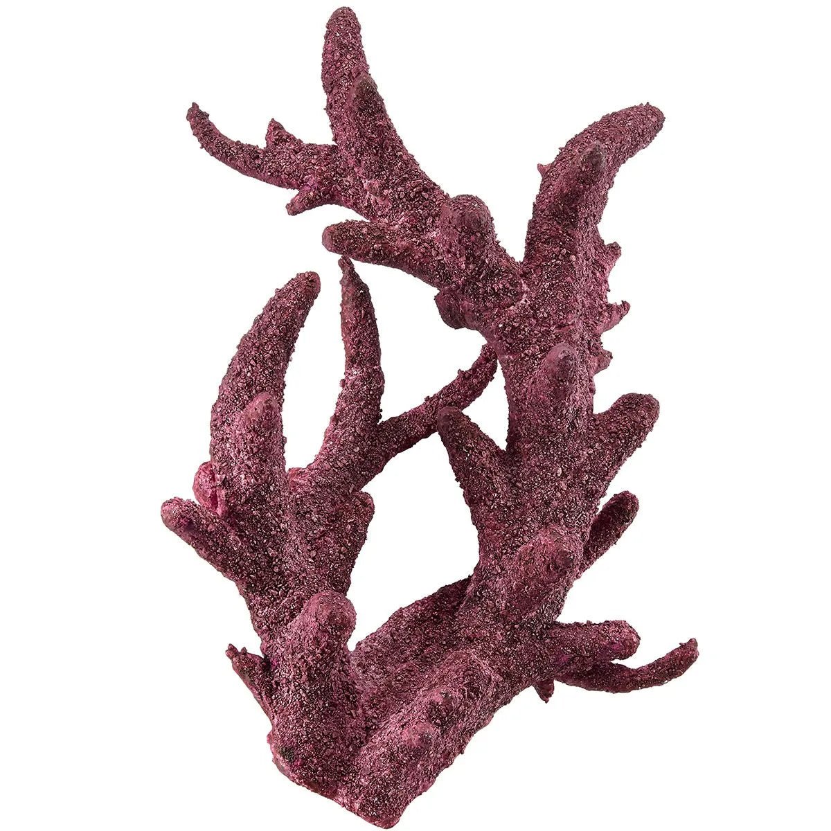 Live Tonga Branch Reef Rock - sold by the lb