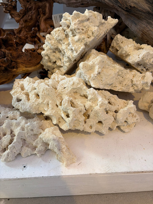 Reef Rock (Dry)