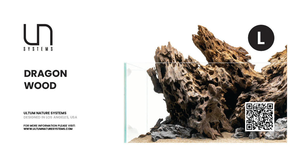 UNS Dragon Wood - L - 1 Piece