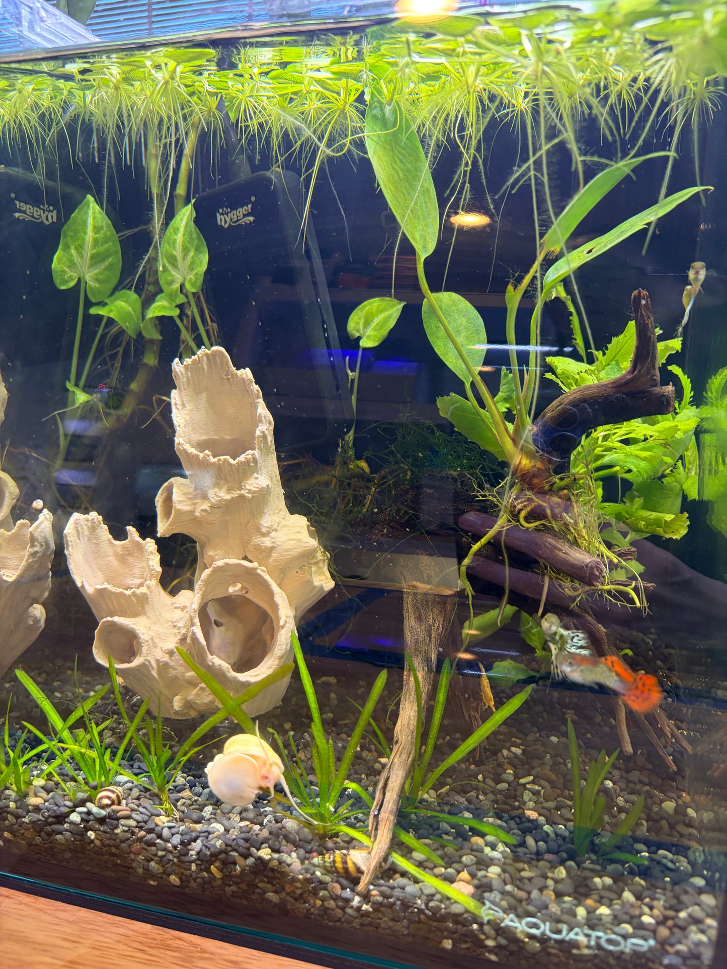 Standing Log