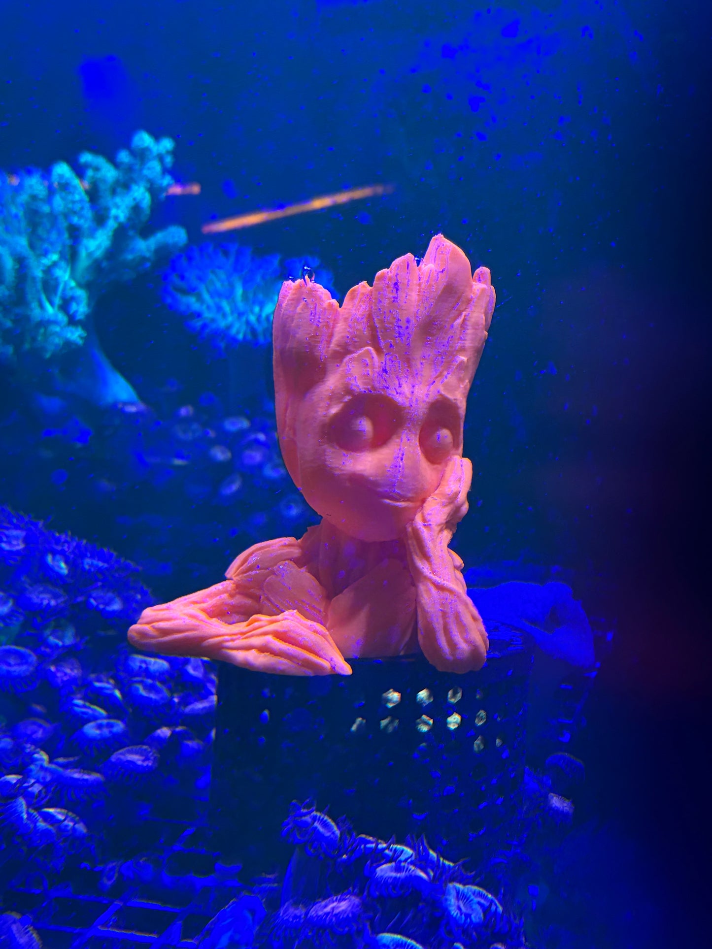 Groot Anemone Holder