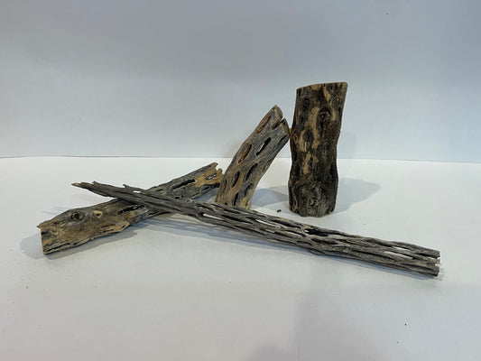 Cholla Wood Logs