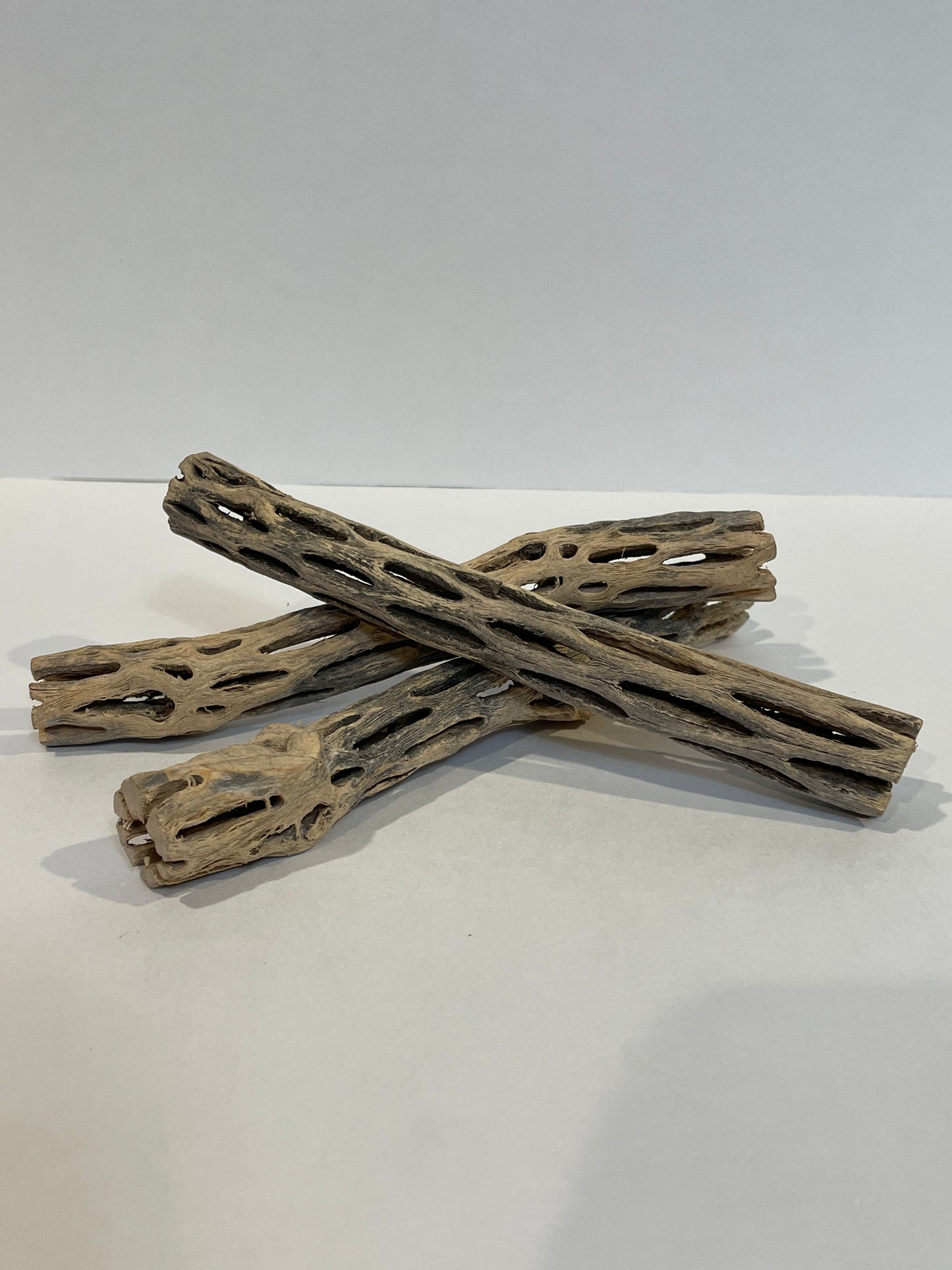 Cholla Wood Logs