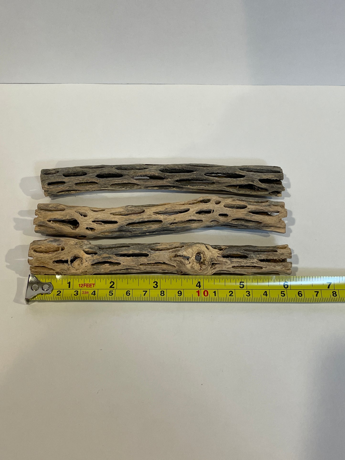 Cholla Wood Logs