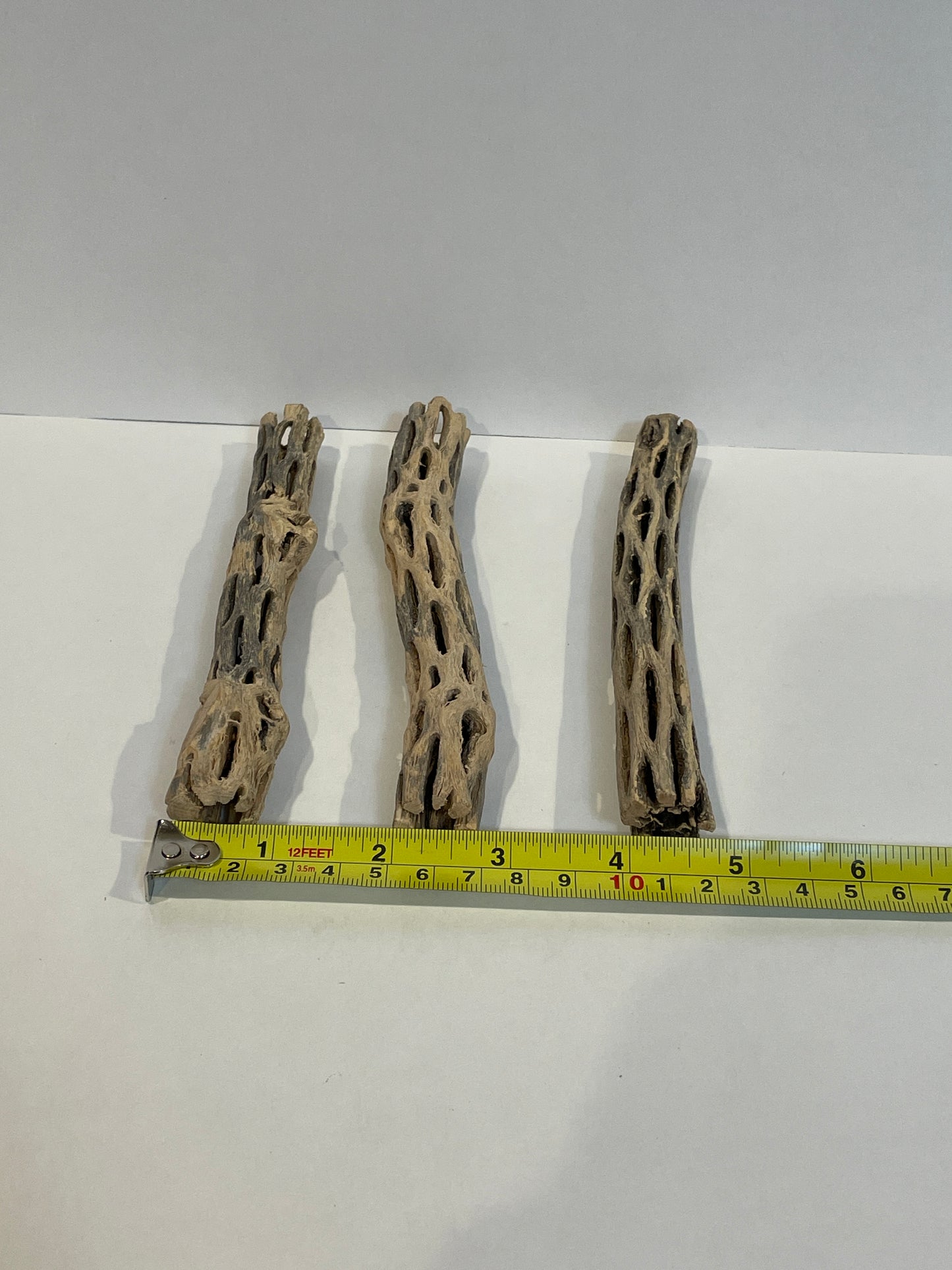 Cholla Wood Logs