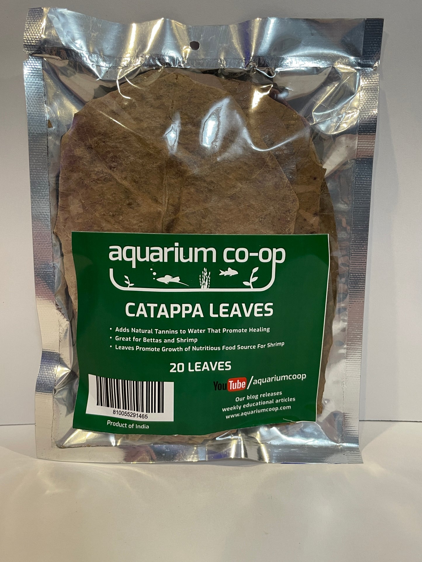 20 Catappa Leaves