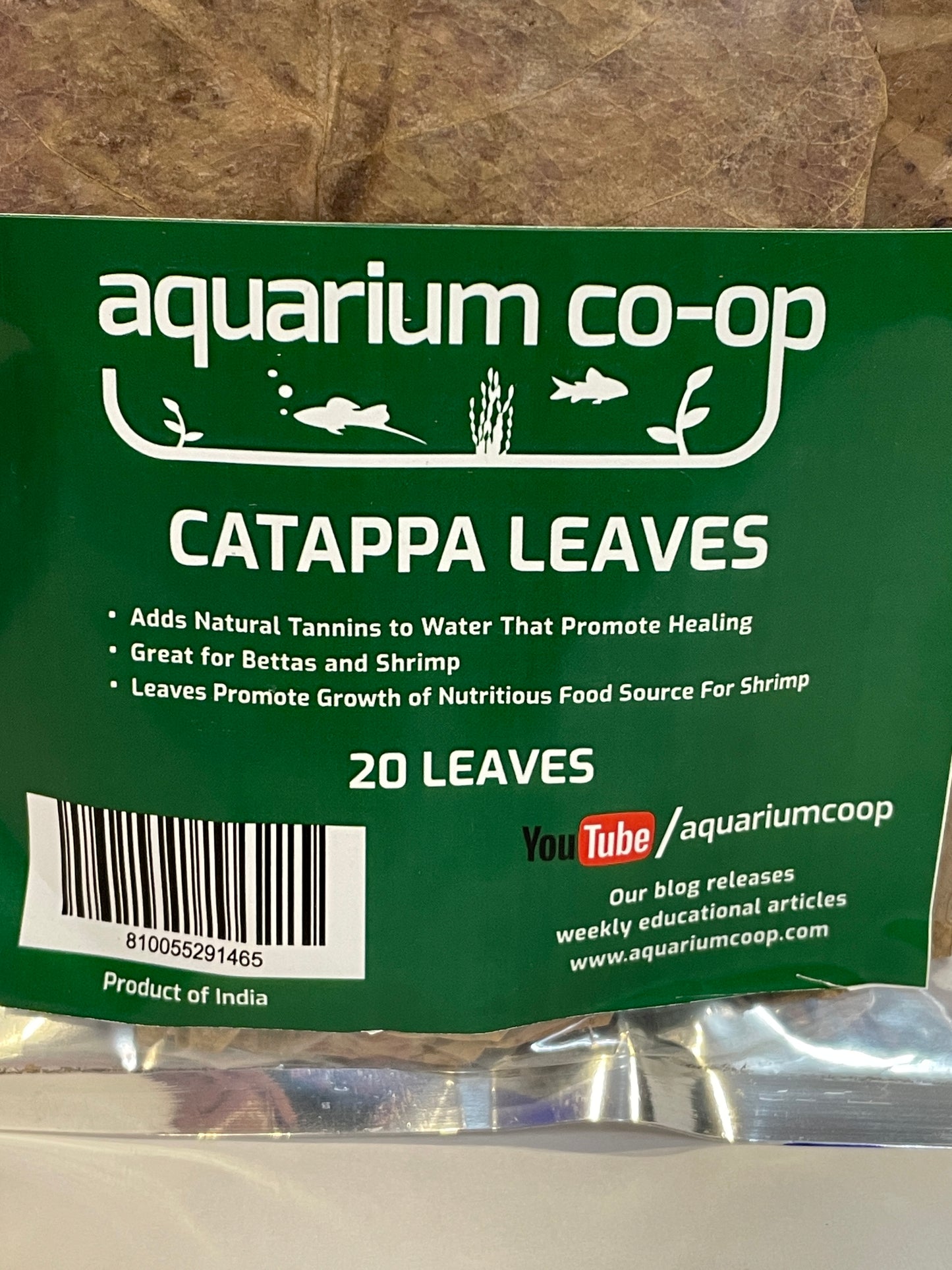 20 Catappa Leaves