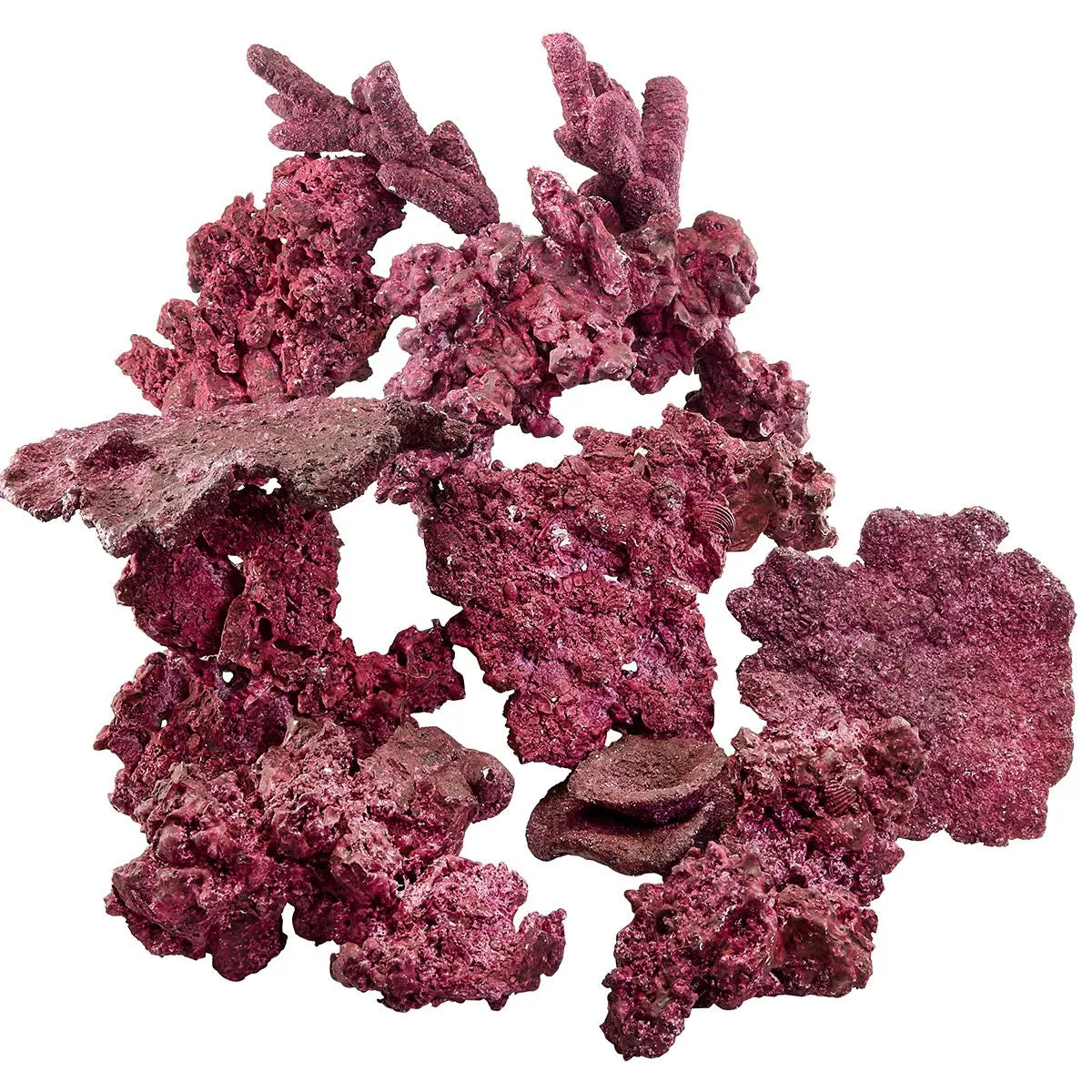 Live Reef Rock - sold by the lb