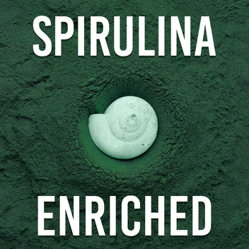 Easy Shrimp and Snail Shells - Bulk sold Ea (1)