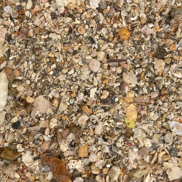 Tampa Bay Saltwater - Ultra Live Sand (Special Order)