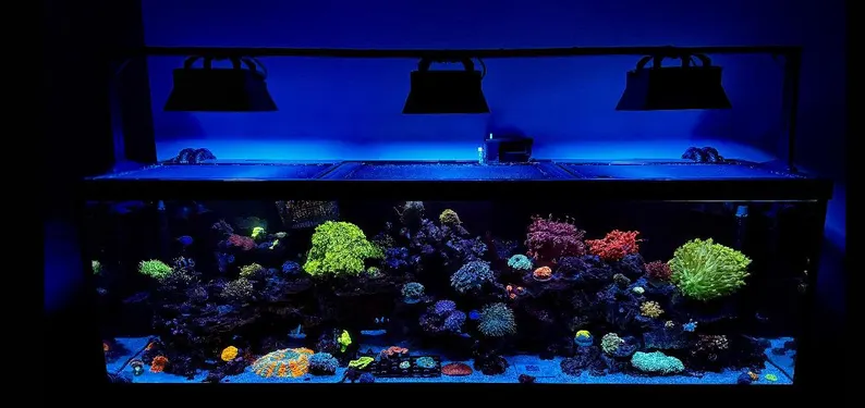 Ecotech Radion XR15 angled light shade