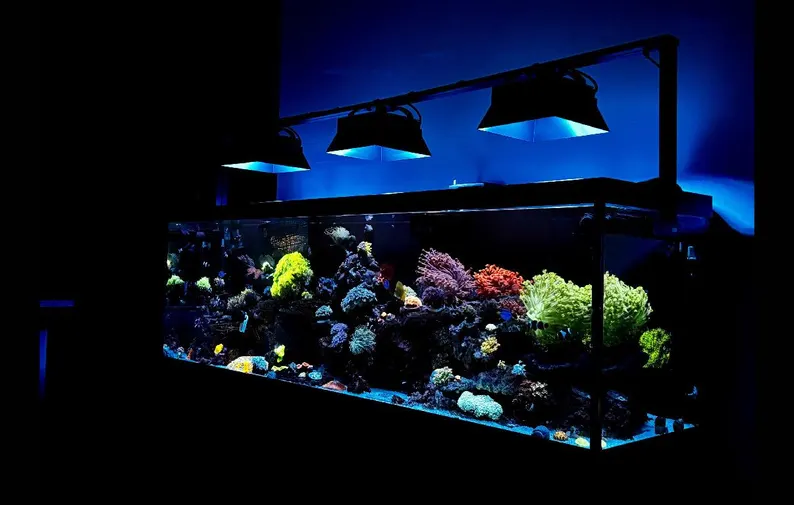 Ecotech Radion XR15 angled light shade