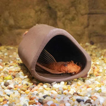 Aquarium Co-Op Pleco Cave