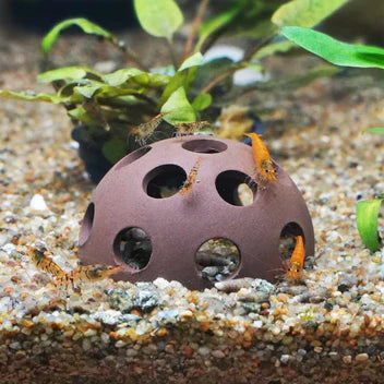 Aquarium Co-Op Shrimp Cave